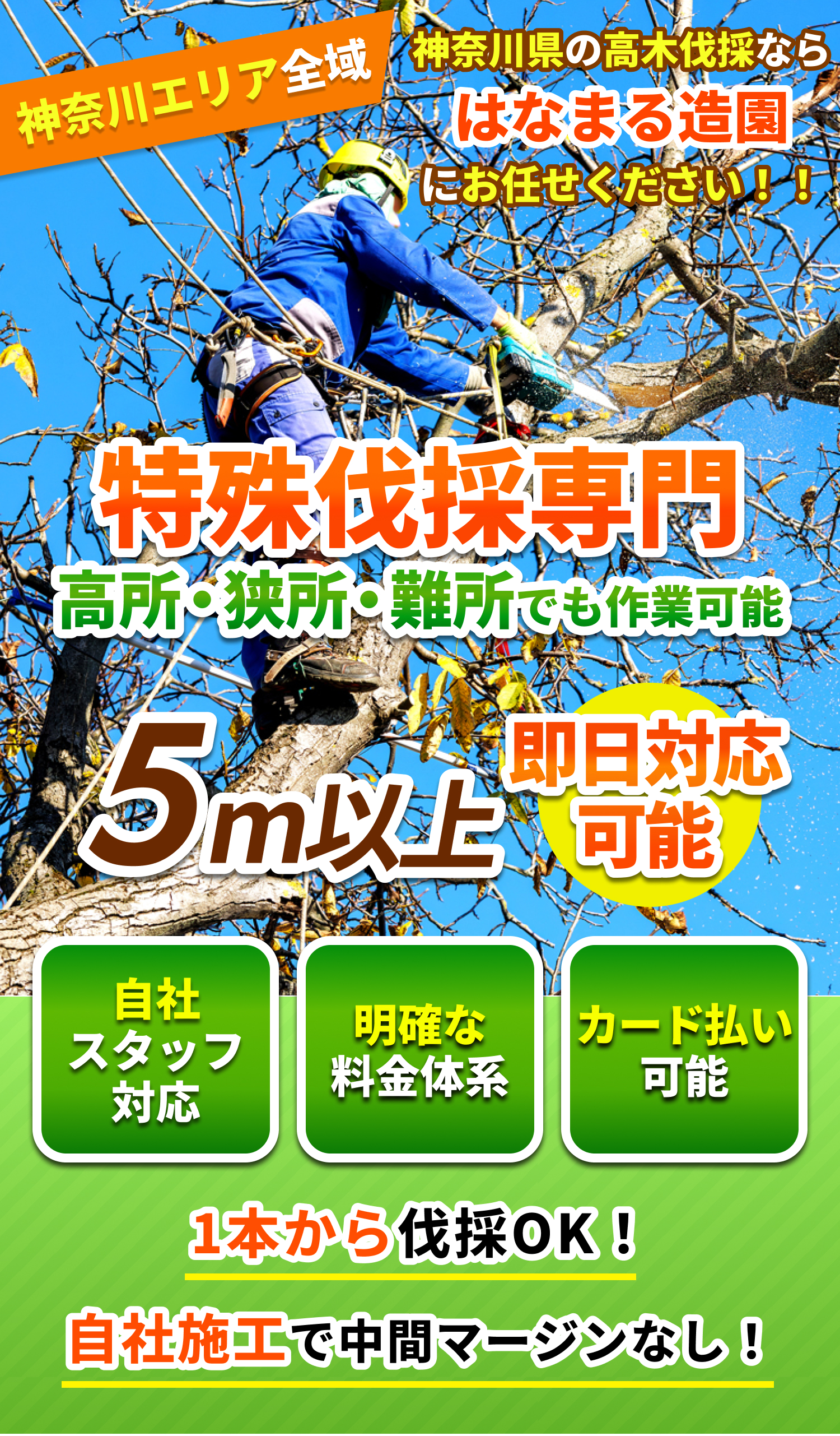 神奈川県の特殊伐採